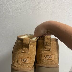 UGG Mini Suede Boots in Chestnut